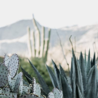 Laughter and Adventures: A Humorous Guide to Outdoor Escapades